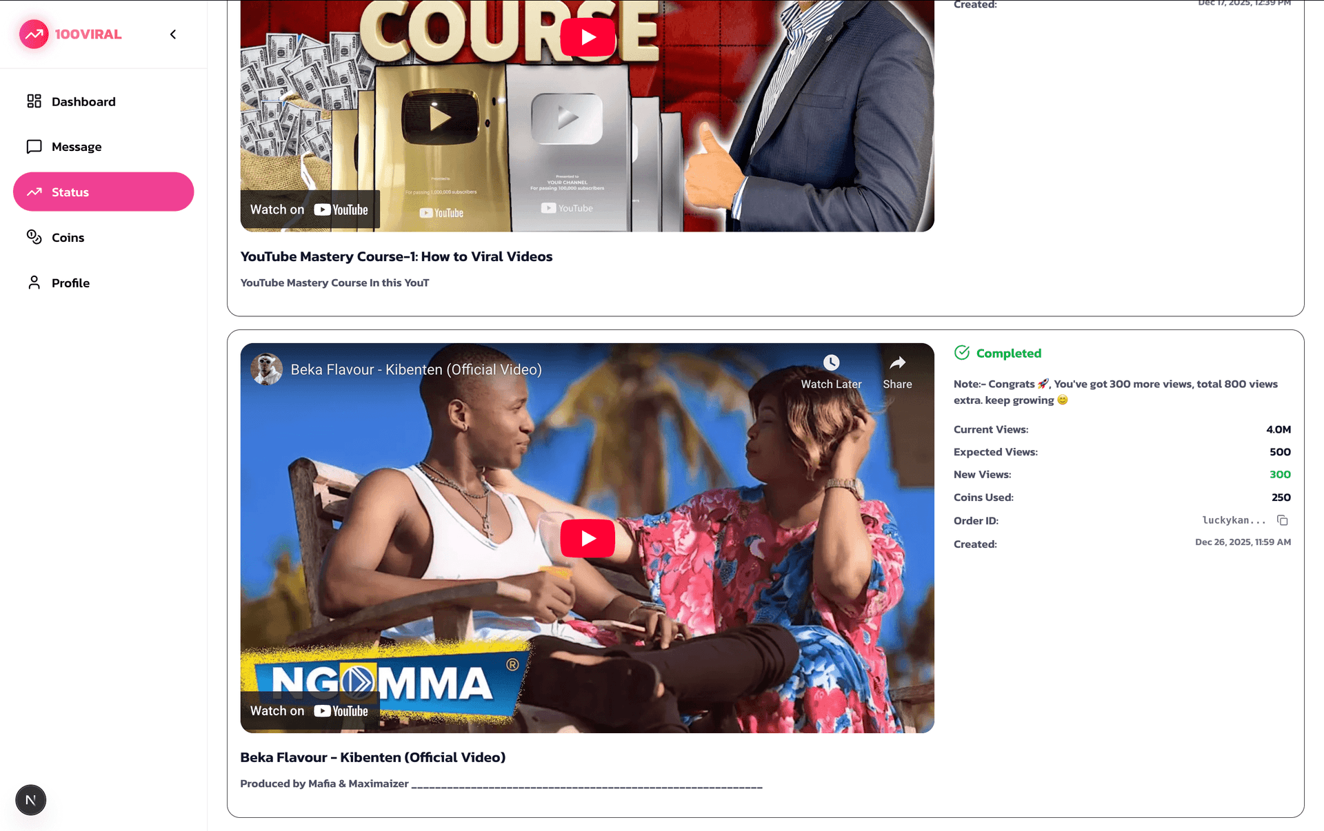 100Viral Status Page - Views Completed After 24 Hours